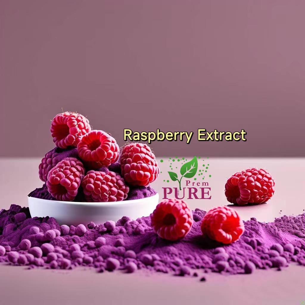 PremPureBio's tweet image. #RubusidaeusL.#Raspberryextract
Raspberry extract powder, derived from red raspberries (Rubus idaeus), has gained significant attention for its rich bioactive compounds and potential health benefits. Red raspberries are known for their high concentration of polyphenols