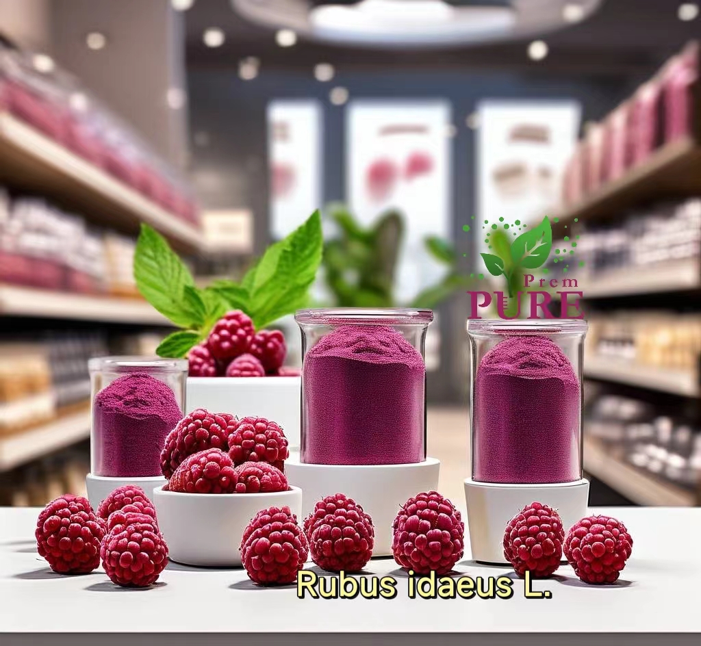 PremPureBio's tweet image. #RubusidaeusL.#Raspberryextract
Raspberry extract powder, derived from red raspberries (Rubus idaeus), has gained significant attention for its rich bioactive compounds and potential health benefits. Red raspberries are known for their high concentration of polyphenols