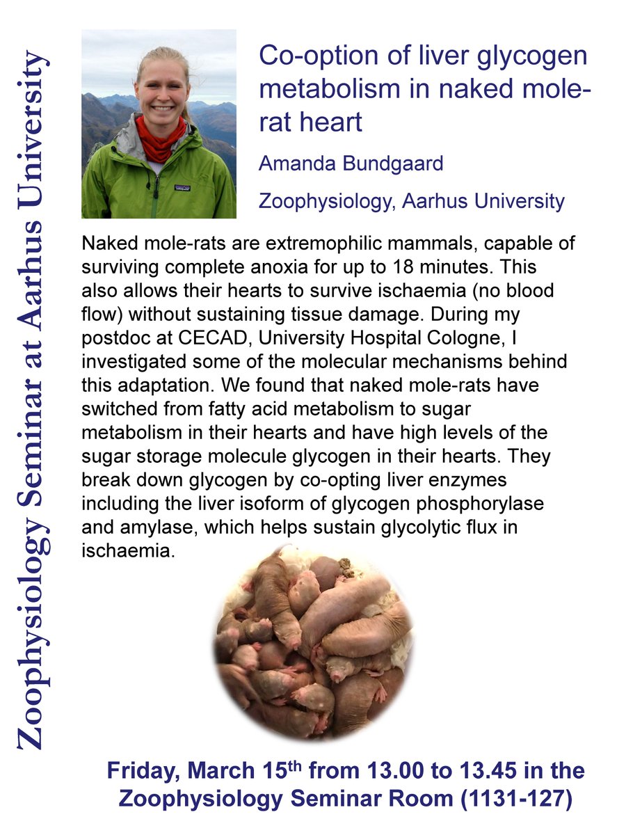 Zoophysiology tweet media