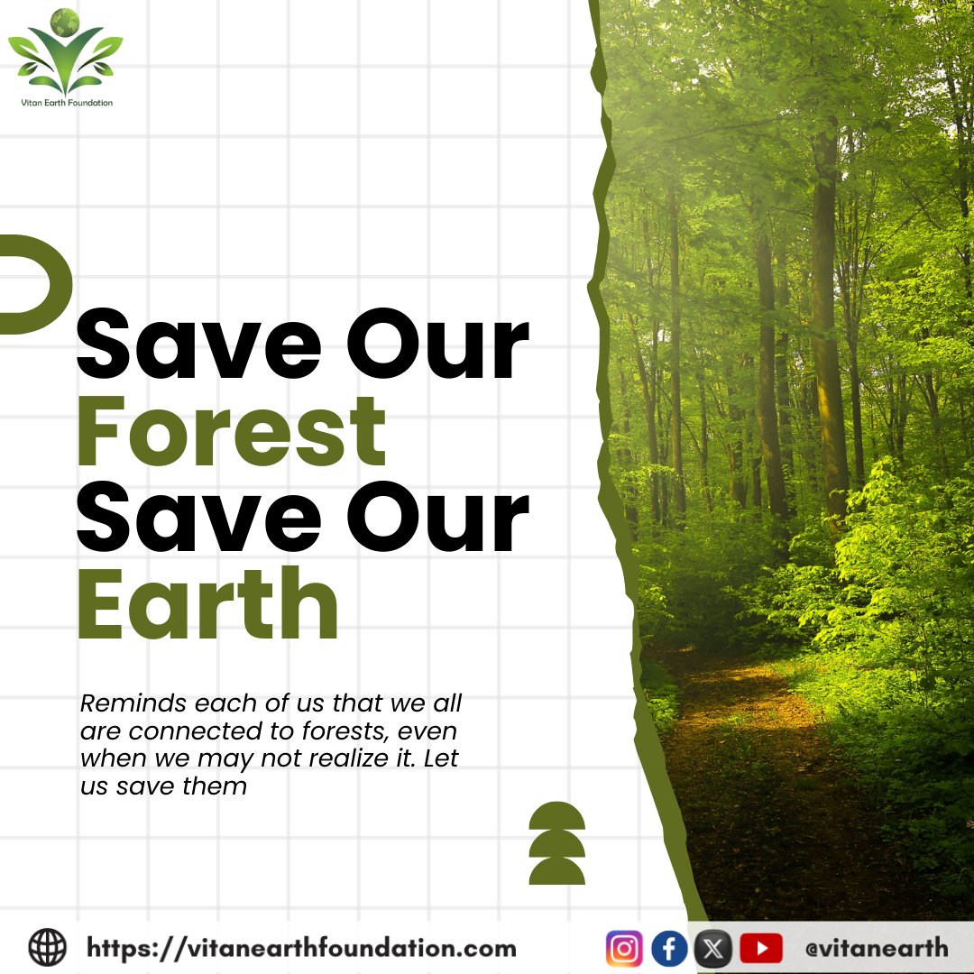 Save Our Forest, Save Our Earth..

#ngo #vitanearthfoundation #saveourforests #savetheplanet #savetheair #saveourearth🌍 #greenry #savewatersavelife