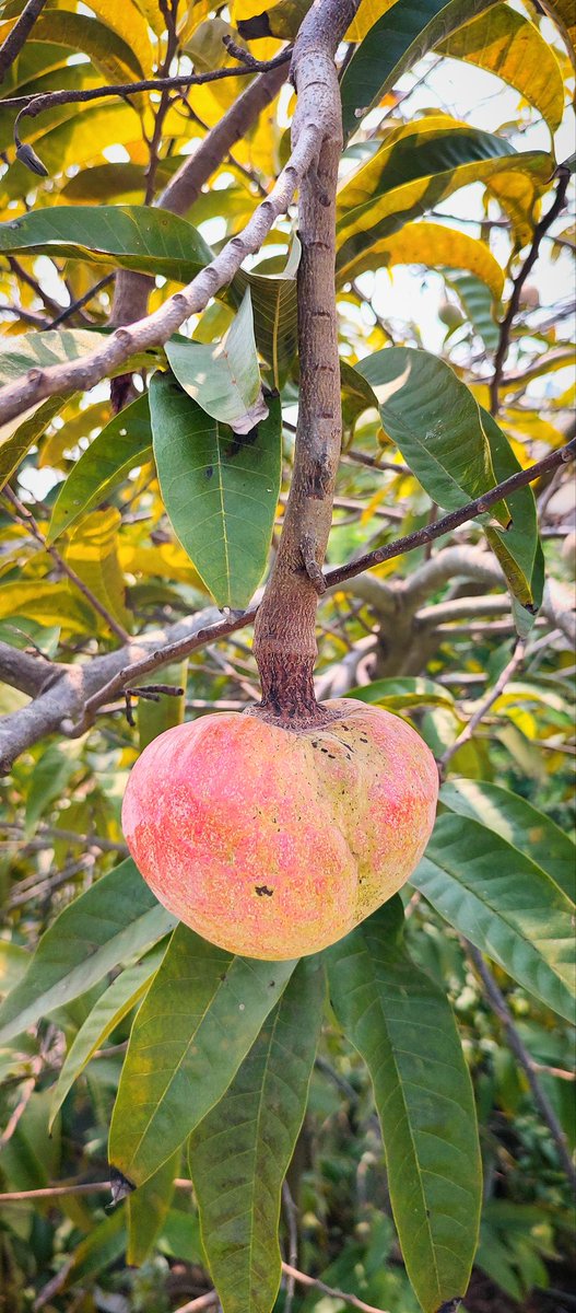 🌿Rear View🌿 tweet media