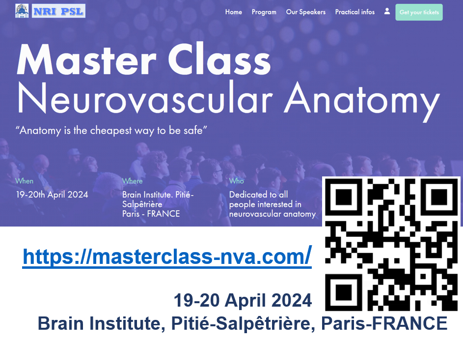 Interested in neurovascular anatomy? Still time to register to this masterclass @InstitutCerveau in Paris. masterclass-nva.com
