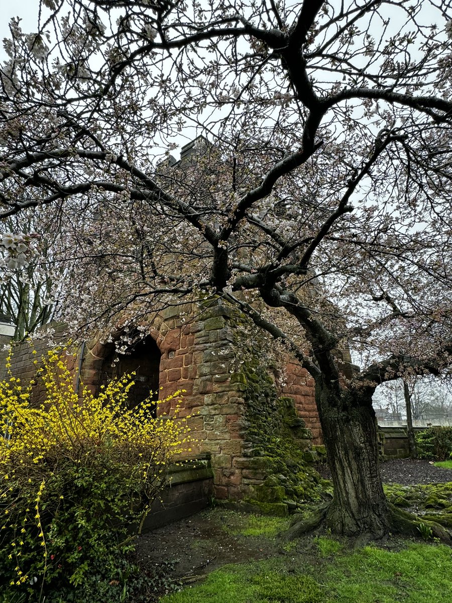 yasmine_oozeear's tweet image. Find that special  place 

      And go there much often 

               ~🌸~🌺~🌼~

#FreeTherapy 
#NatureBeauty