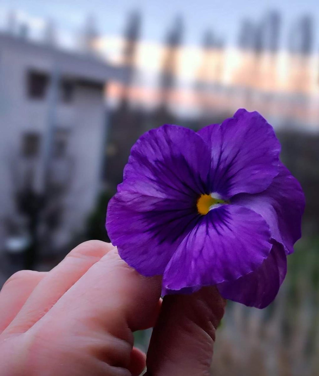Buon giorno ❤️