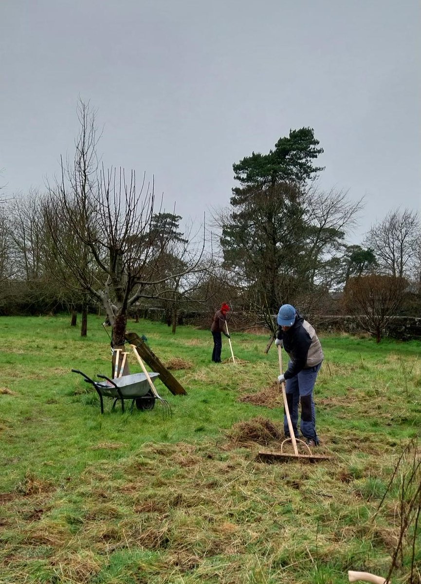 Soggy scythes at yesterday's Grassland Management training at Wickwar Community Orchard. 🌦️🍎🌳 Want to learn more about orchards and how to look after them? Our popular training days are completely free, with dates available over the coming weeks 👇️ eventbrite.co.uk/o/forest-of-av…
