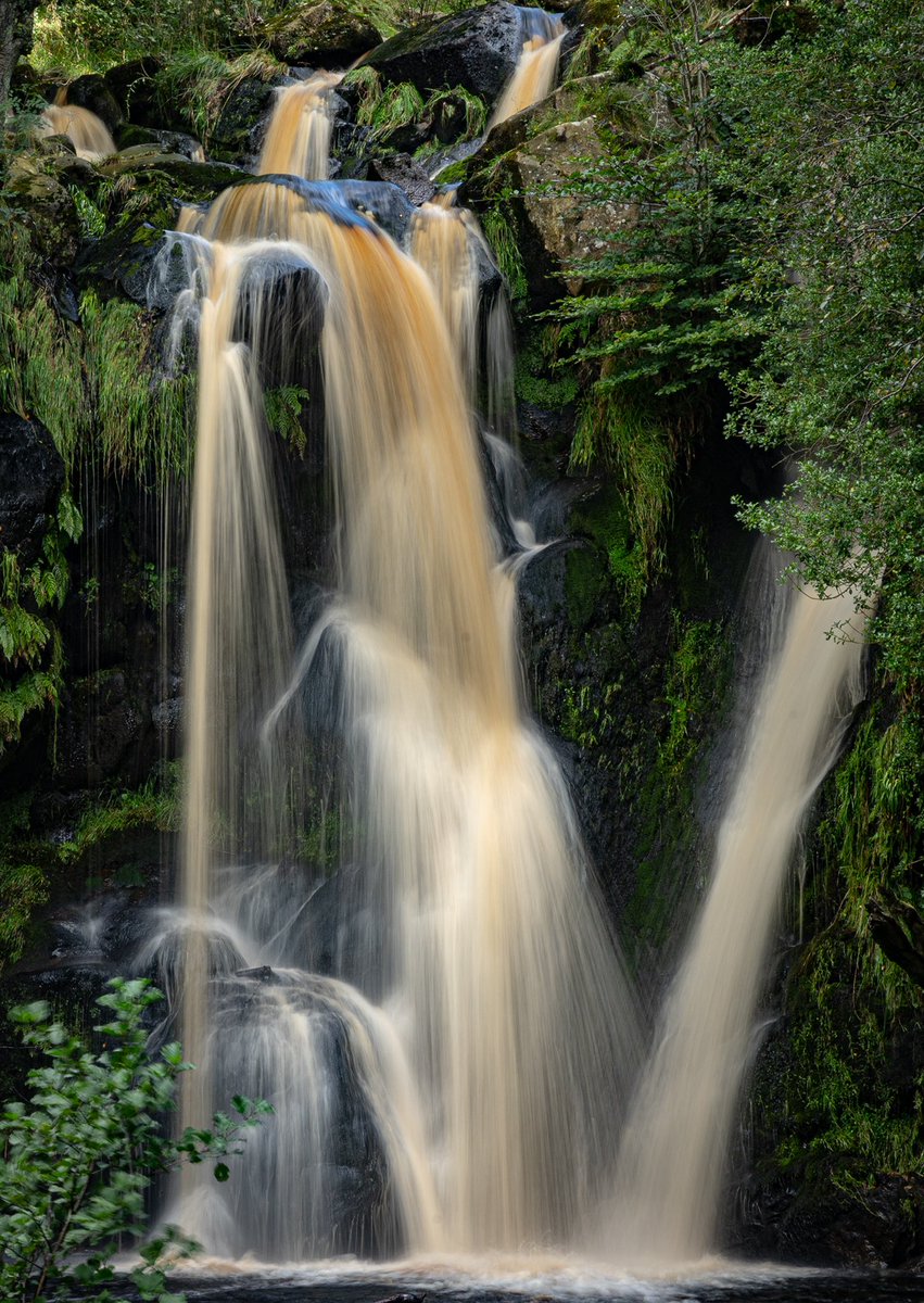 Daniel Britton tweet media