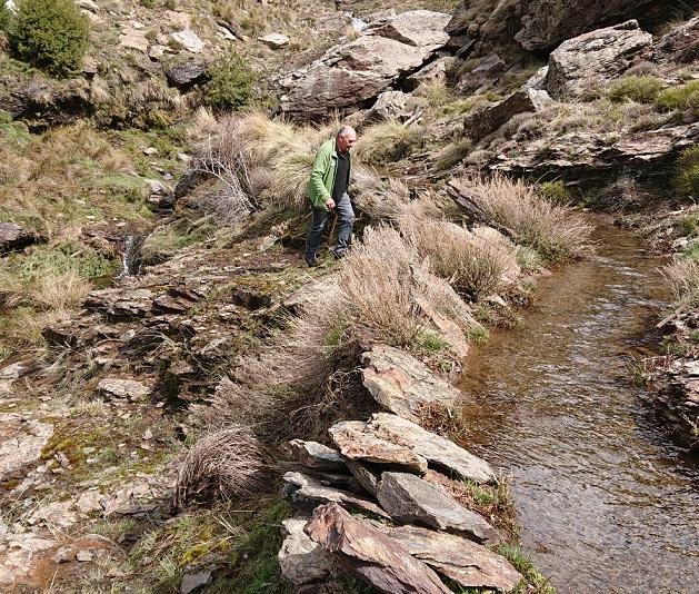 🌱AlpujarraVerde 🌻💚☮️ tweet media