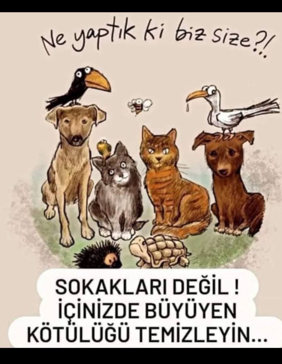 Bugün güzel haberler alalım #erosiçinadalet