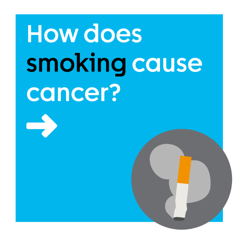 CR_UK's tweet photo. Today is #NoSmokingDay 📅

Smoking is the biggest cause of cancer in the UK and stopping smoking reduces the risk of at least 15 different types of cancer.

Learn more about smoking below 👇
