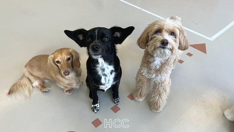 으그 우리 막내