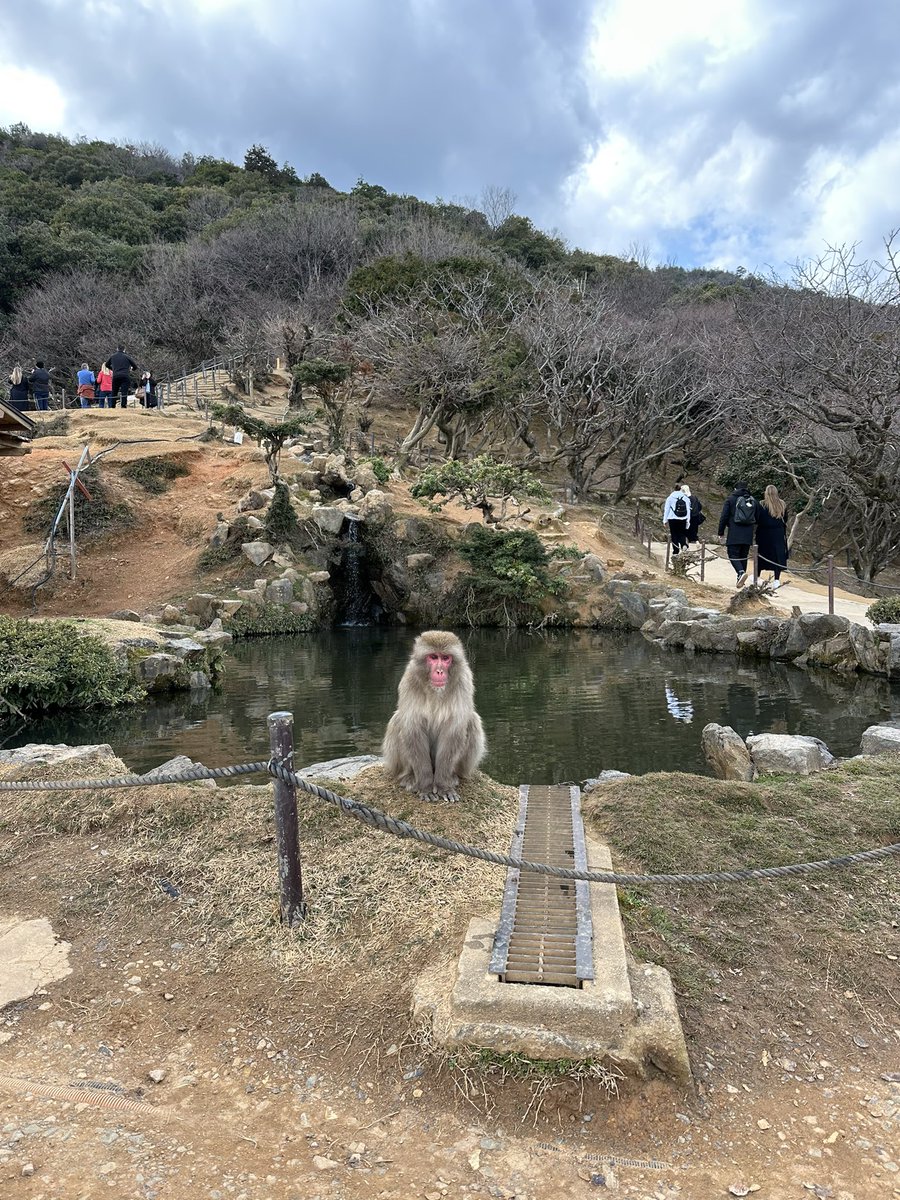 MetaDogeBaby tweet media