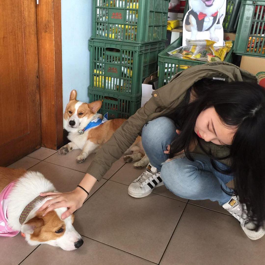 Life needs happiness, not sadness.