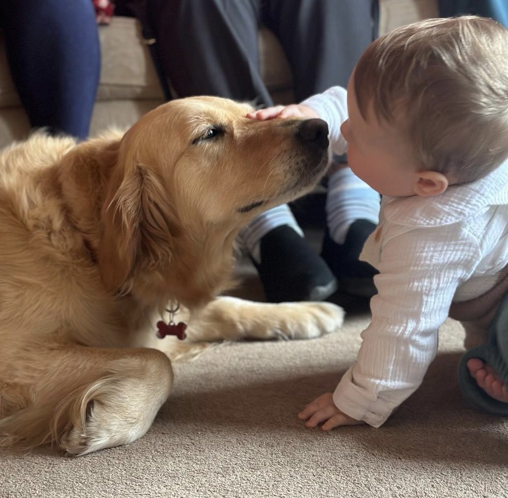 arthritisbham's tweet image. Mabel says hello to Baby Ben . They are very fond of each other 😊