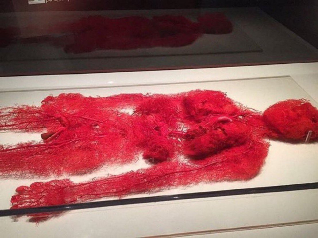 Real blood vessels from a person who donated their body for artistic/scientific display purposes.