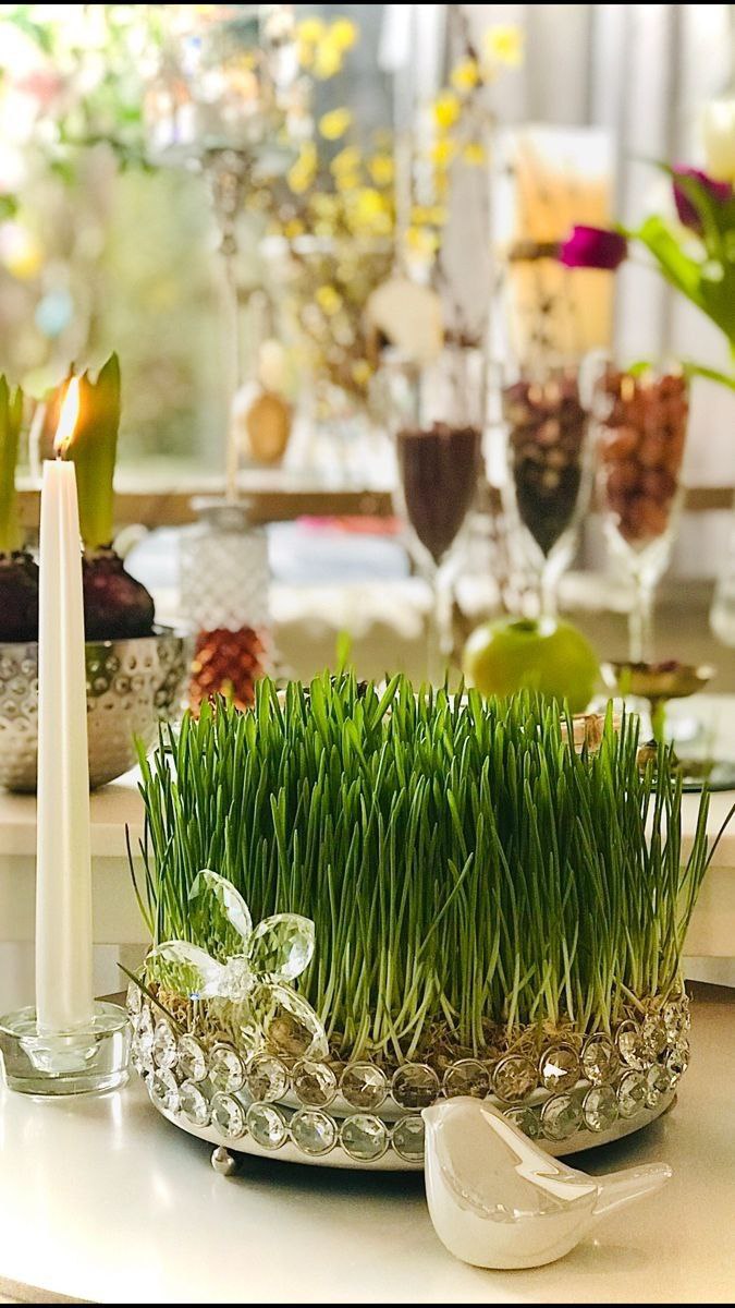 Səməni is one of the symbols of Novruz in Azerbaijan🇦🇿. Every year on the eve of March, Səməni, as the herald of spring, is sprouted on the first Tuesday & put in visible places at home & public places. Made from the seeds of wheat, it symbolizes a rich harvest & abundance.