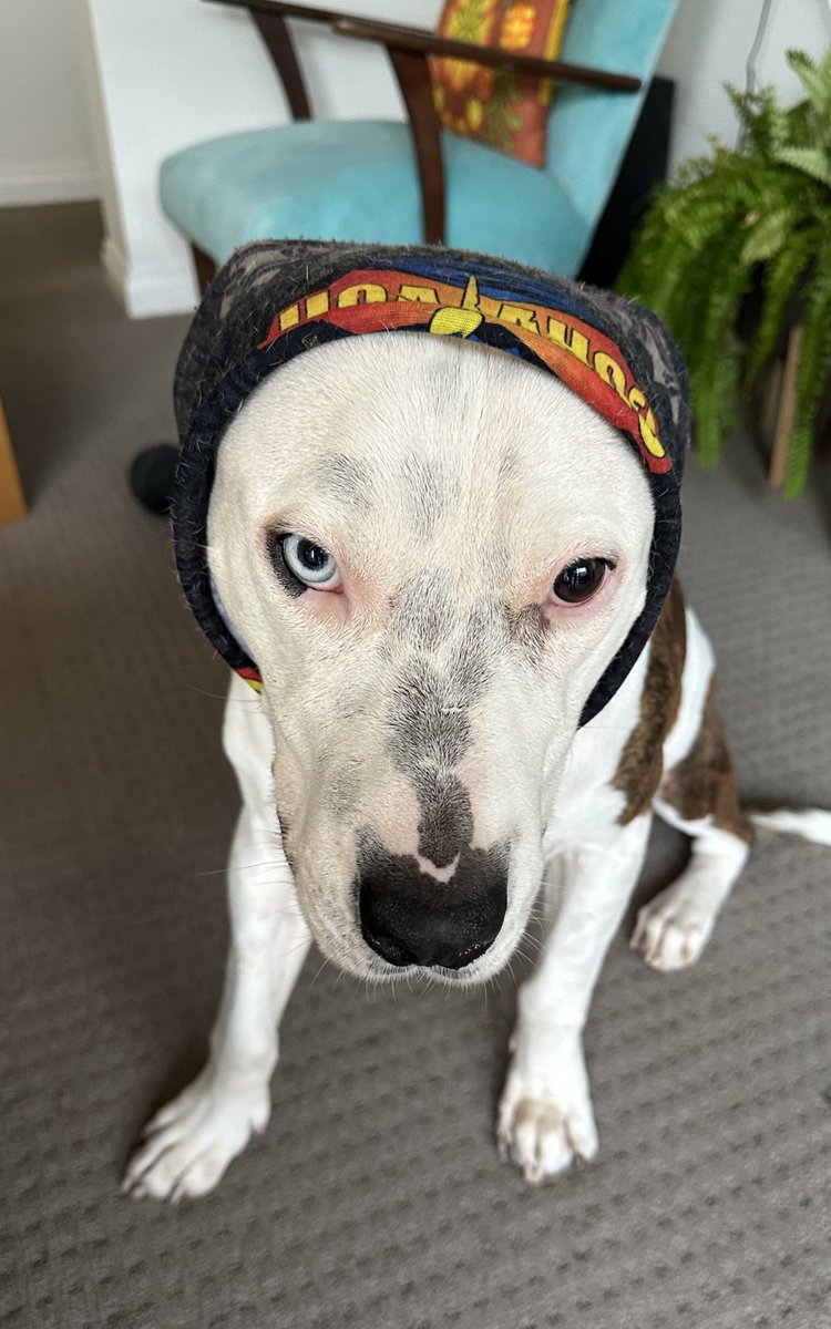 Edwin Smith tweet media