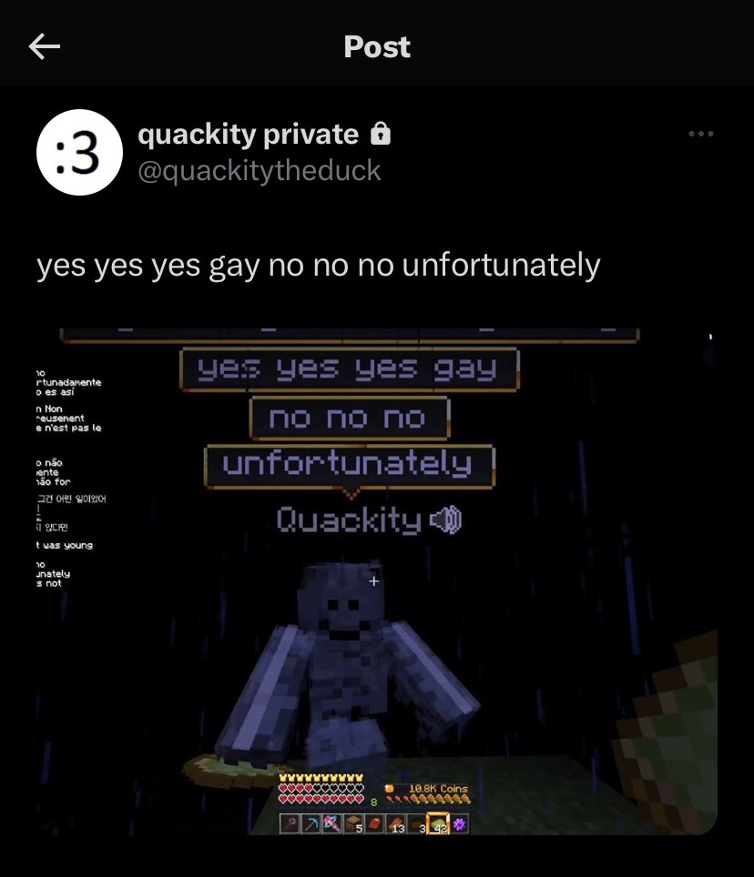 QUACKITY SPANISH STREAM UPDATES ACCOUNT🪷 tweet media