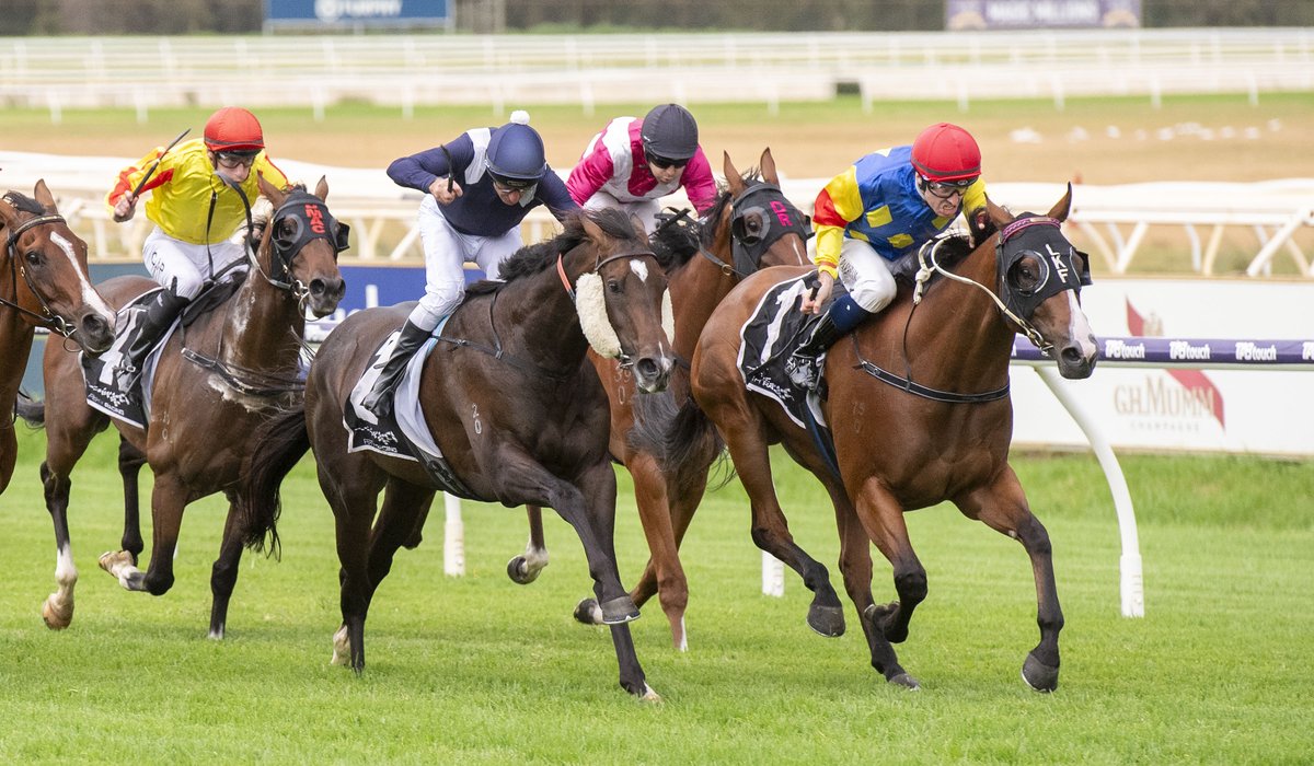 PerthRacing's tweet photo. Following a bruising Lex Piper Stakes encounter that spilled over into the Stewards Room two weeks ago, Russian To The Bar and Chris Parnham are set for another battle with A Lot Of Good Men and Paul Harvey in Saturday's $125K Listed Schweppes-J.C. Roberts Stakes (Race 8-1800m). 💪

We can't wait! 🐎

📸 @WesternRacepix