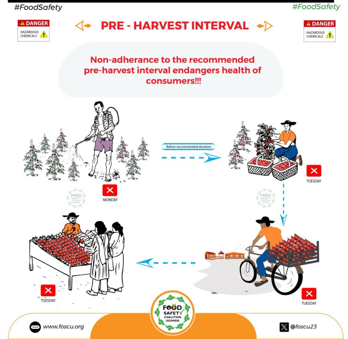 FOOD SAFETY ALERT!! Pesticides applied on crops are designed to break-down to safer concentration levels after a given period. This duration is known as PRE-HARVEST INTERVAL. Food MUST NOT be harvested and/or consumed during this period!!   #FoodSafey | @foscu23 |…