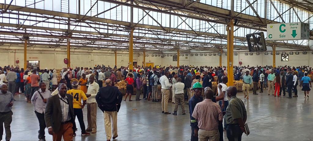 Kutsaga Research (@kutsagaresearch) on Twitter photo <a href="/KutsagaResearch/">Kutsaga Research</a> is committed to support the Government's thrust on climate-proof tobacco production in pursuit of NDS1 <a href="/timb_zw/">Tobacco Industry & Marketing Board</a> <a href="/obertjiri/">Obert Jiri</a> <a href="/MoLAFWRD_Zim/">MinofLands,Agric,Fisheries,Water&Rural Development</a> <a href="/aaron_denenga/">Aaron Denenga</a> <a href="/ZFyfcz/">Zimbabwe Young Farmers (FYFCZ)</a> <a href="/frank_magama/">Frank Magama</a> <a href="/tmug_/">Tatenda Mugabe</a> <a href="/TobaccoZimbabwe/">Zimbabwe Tobacco Association</a>
<a href="/TTofuz/">Tobacco Farmers Union of Zimbabwe (TOFUZ)</a> <a href="/TheFarmerTalk/">Tobacco Farmer Talk</a> <a href="/ZimbabweTobacco/">Zimbabwean Tobacco Enthusiast</a> <a href="/zpba_official/">Zimbabwe Plant Breeders Association</a> <a href="/Orgfert1/">Orgfert</a> <a href="/KutsagaResearch/">Kutsaga Research</a> is committed to support the Government's thrust on climate-proof tobacco production in pursuit of NDS1 <a href="/timb_zw/">Tobacco Industry & Marketing Board</a> <a href="/obertjiri/">Obert Jiri</a> <a href="/MoLAFWRD_Zim/">MinofLands,Agric,Fisheries,Water&Rural Development</a> <a href="/aaron_denenga/">Aaron Denenga</a> <a href="/ZFyfcz/">Zimbabwe Young Farmers (FYFCZ)</a> <a href="/frank_magama/">Frank Magama</a> <a href="/tmug_/">Tatenda Mugabe</a> <a href="/TobaccoZimbabwe/">Zimbabwe Tobacco Association</a>
<a href="/TTofuz/">Tobacco Farmers Union of Zimbabwe (TOFUZ)</a> <a href="/TheFarmerTalk/">Tobacco Farmer Talk</a> <a href="/ZimbabweTobacco/">Zimbabwean Tobacco Enthusiast</a> <a href="/zpba_official/">Zimbabwe Plant Breeders Association</a> <a href="/Orgfert1/">Orgfert</a>