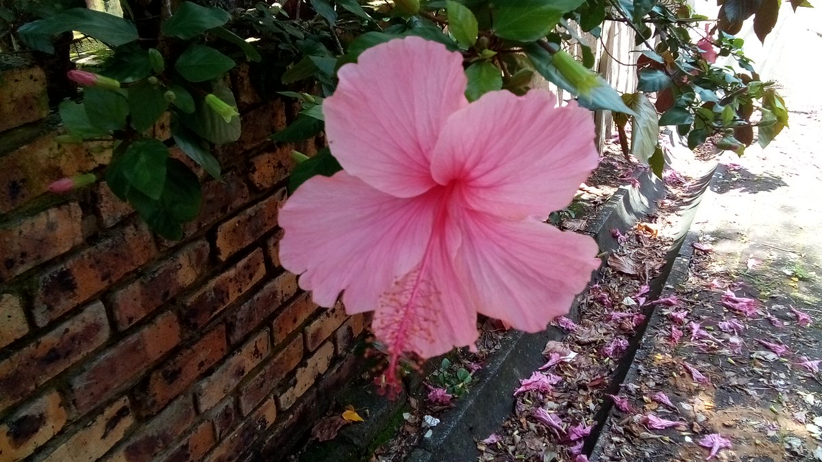 info4u2use's tweet image. @darth_na  problem is most folks think way too small, and have no cooking clue of the total site side impact of the page in question. #SemanticConnectedness issues are never thought of coz most folks have no idea of the term #SemsnticEngineering and how info6fkows between pages