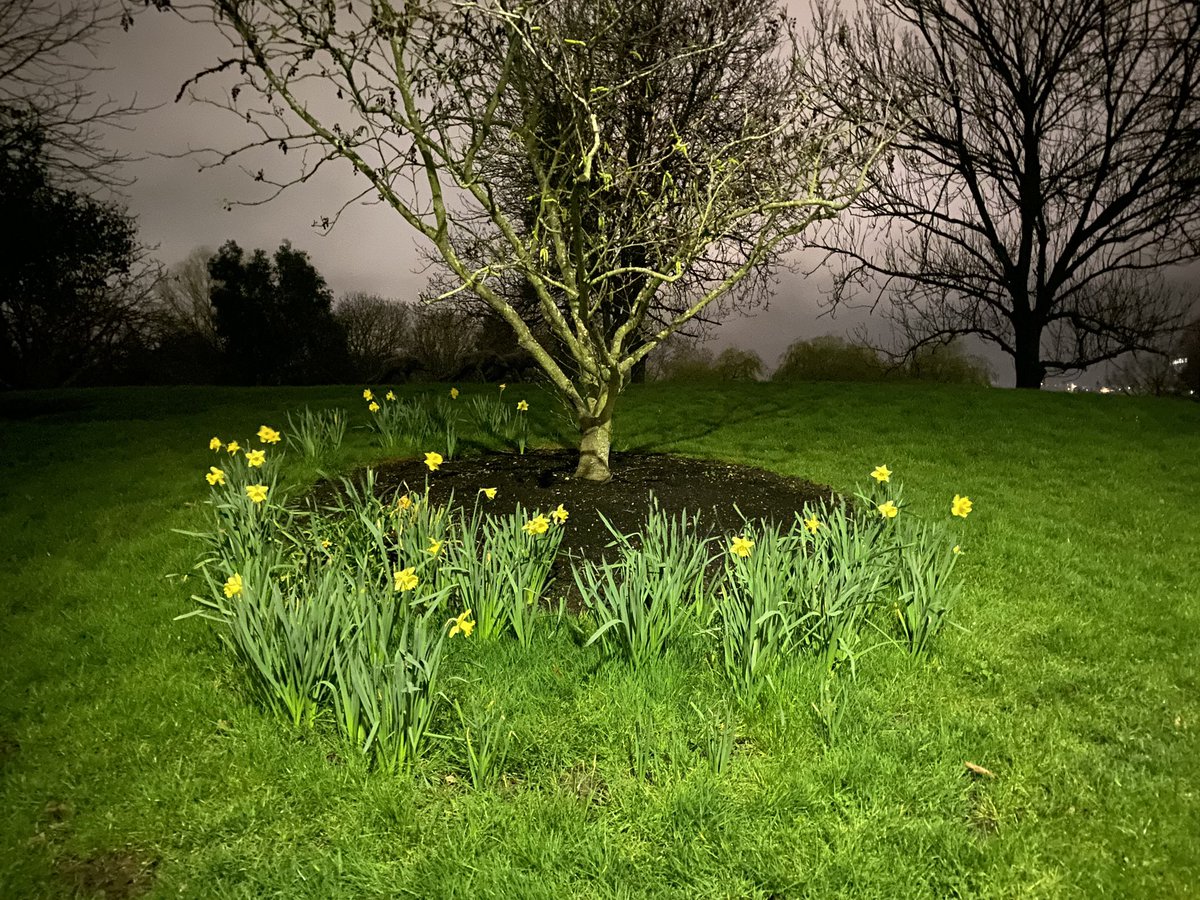 APDobbs's tweet photo. Campus takes on a different look at night, but still stunning @UniOfSurrey @SCCESurrey https://t.co/728DJLWZaj