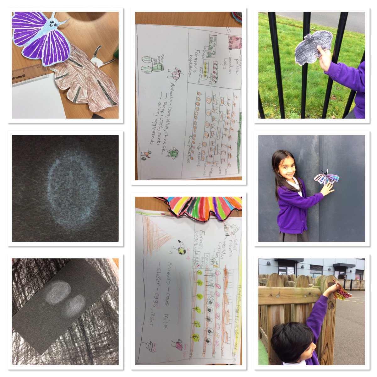 Science week we have looked at finger prints, how animals adapt to their environment and also lots of fun experiments. We also used explorative talk during science week to investigate how we can make a farm sustainable.