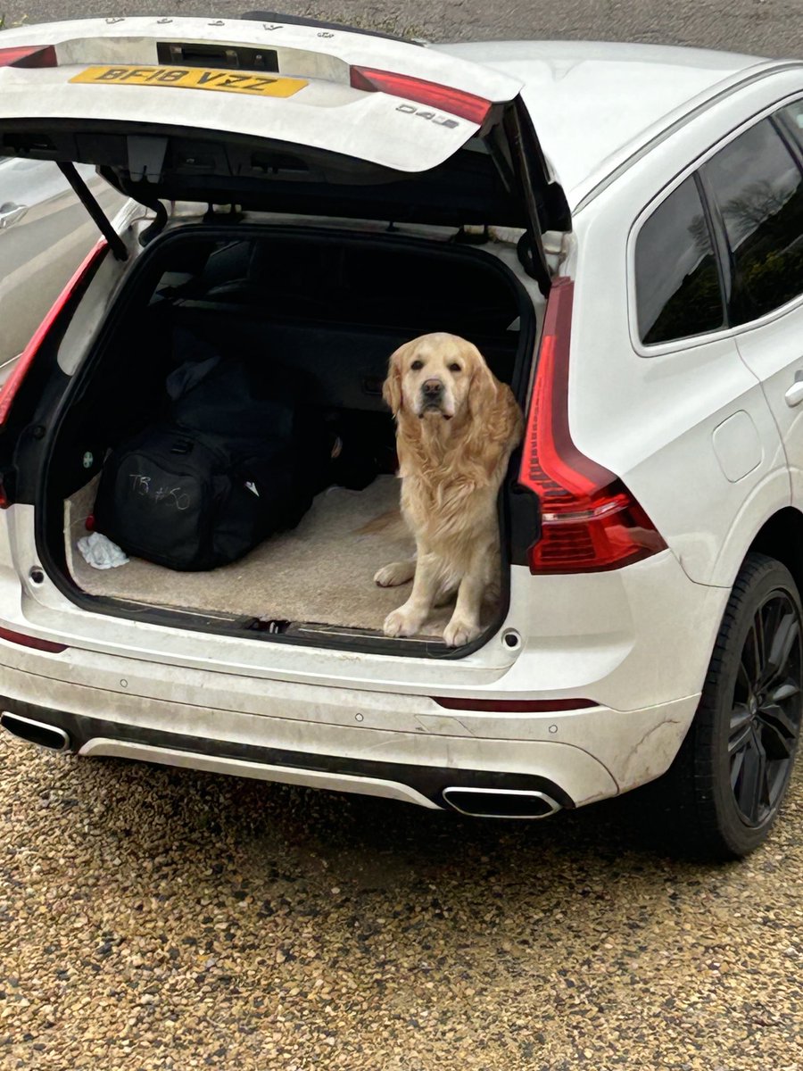 Got some quality training v ⁦@BristolBears⁩ today. Looks like Murphy keen to put his hand up 🐾 for selection