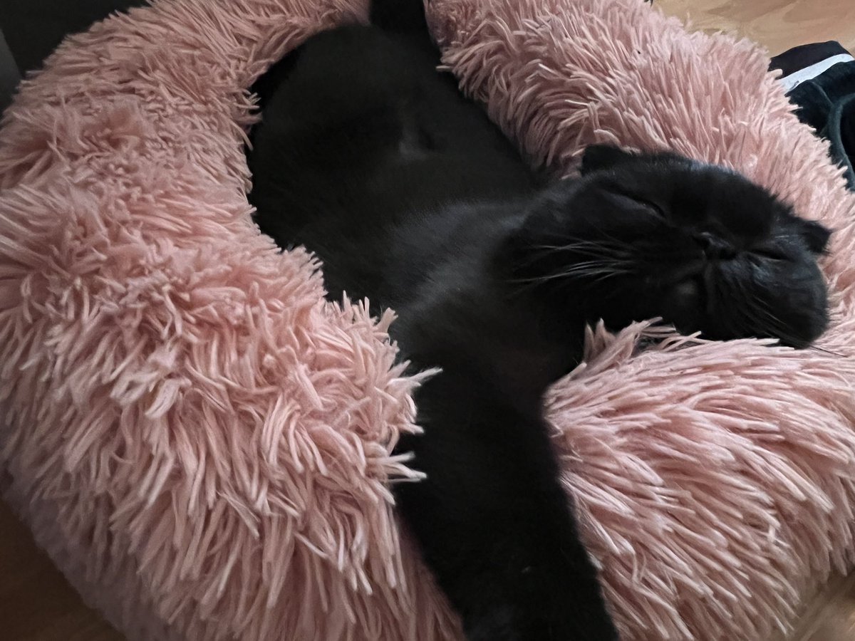 This is what I see every morning next to my bed😻 Gmgm