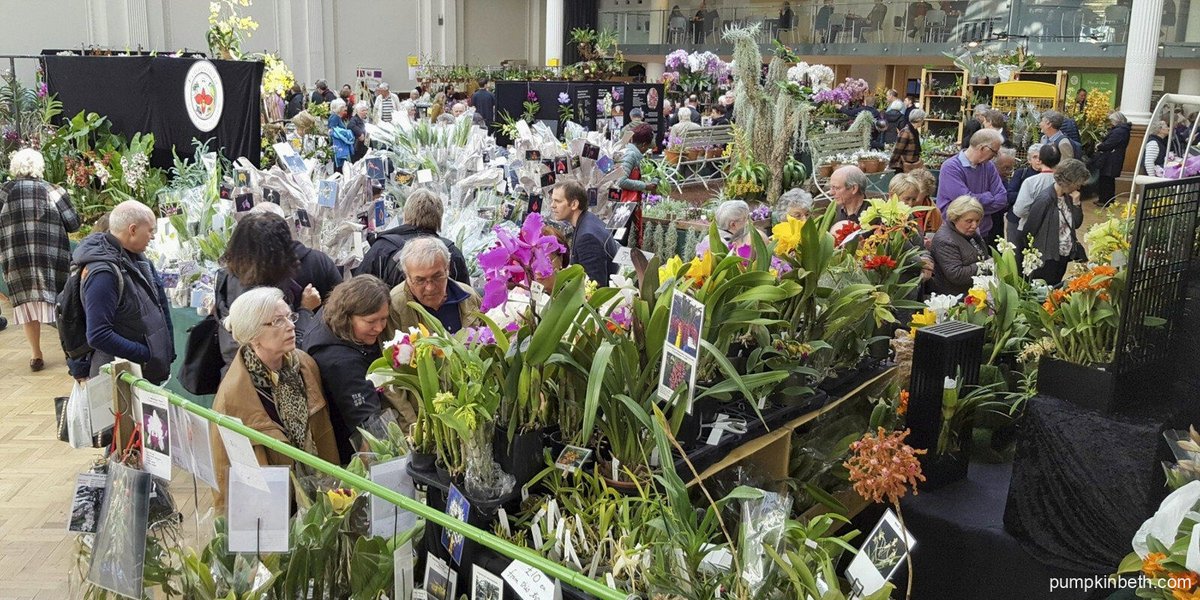 Love orchids? Here's a link to my UK Calendar of Orchid Shows, Orchid Plant Sales, Orchid Talks, & Orchid Tours: pumpkinbeth.com/2022/04/calend… #Orchid #Orchids #OrchidLover #Gardening #Plants #Houseplants #Garden #IndoorPlants #GardeningX #Phalaenopsis #PlantParent #PlantParenthood