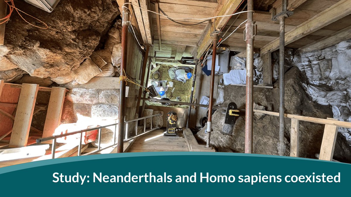 Coexistence of #Neanderthals and Homo sapiens revealed in a @MPI_EVA_Leipzig study, enabled by @ngisweden. “We are very happy and proud to have been entrusted to handle and analyze these unique and important samples” says NGI:s @ormestad. More ↓ scilifelab.se/news/ancient-d…