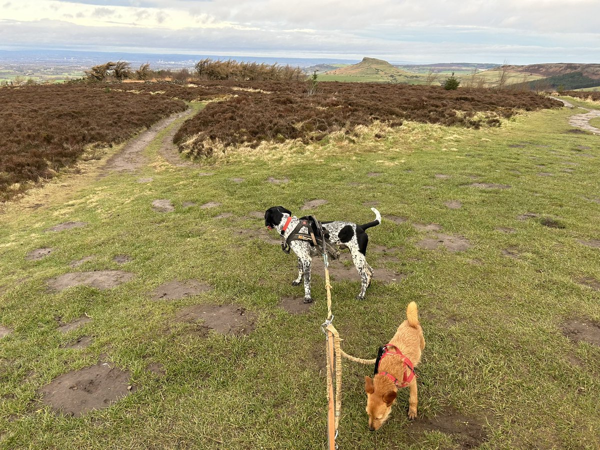 Lucy Clough tweet media