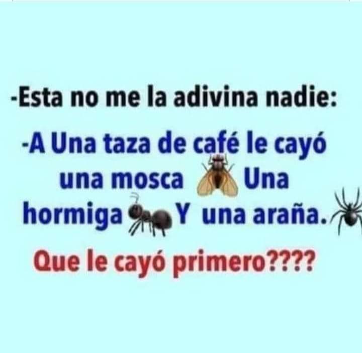 VidaEquilibrada tweet media