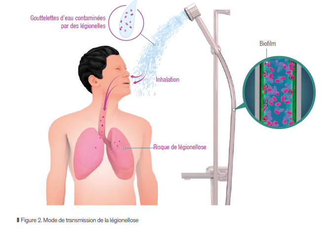 [VIENT DE PARAITRE] 🛠️ Prévenir le risque légionellose 🦠 dans les douches 🚿 de chantier 🏗️ : 🆕 nouvelle brochure de l’INRS à consulter et à télécharger (ED 6526).
👉 bit.ly/43dLv0F