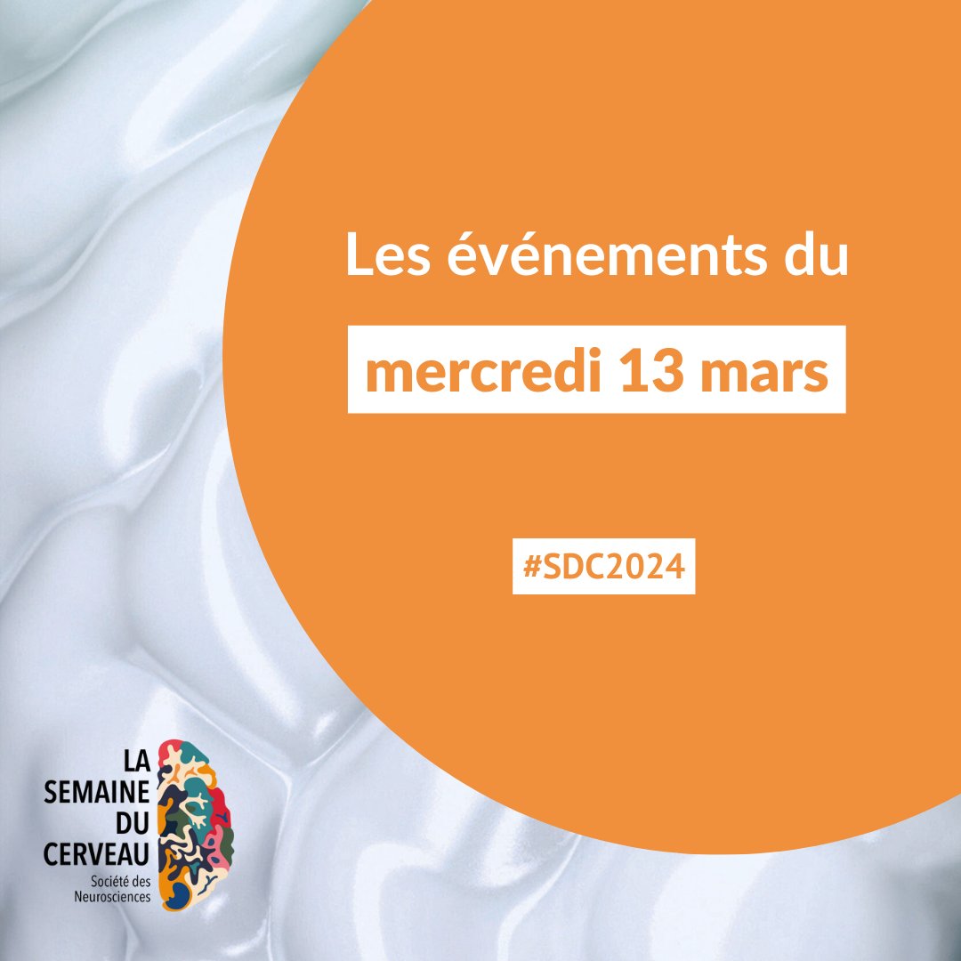 [Jour 3]
La Semaine du Cerveau se poursuit aujourd'hui avec une programmation riche et variée !
 
Conférences, visites de laboratoires, ciné-débats… Retrouvez les événements du jour : cutt.ly/ww0m2Bee
 
#SDC2024 #neurosciences