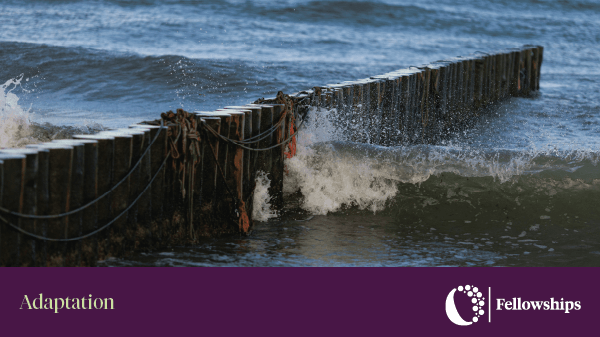 Open call for applications for OBEL Award Teaching Fellowships

2024 OBEL Award Teaching Fellowship program is accepting joint applications from potential fellows and host universities.

Further details can be found here: obelaward.org/initiatives/20…