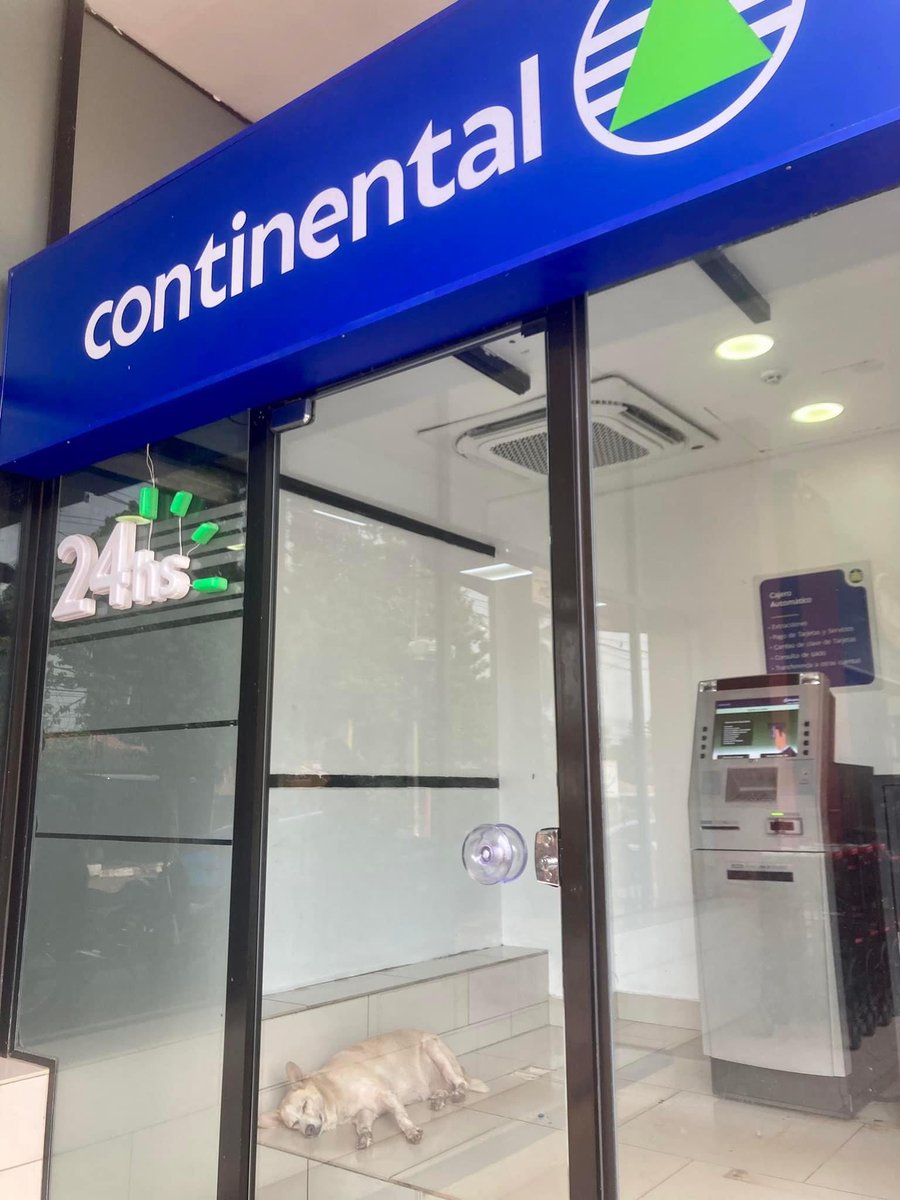 bcontinentalpy's tweet photo. ¡Alerta de ternura! Un cliente muy especial fue captado en nuestro ATM refugiándose del calor 🐶☀️

En Banco Continental además de tus finanzas, nos importa tu bienestar. Así que, al igual que nuestro sabio amigo peludo, ¡recordá hidratarte y evitá exponerte al sol!

Ph: Anónimo. https://t.co/bFkxI04k8T