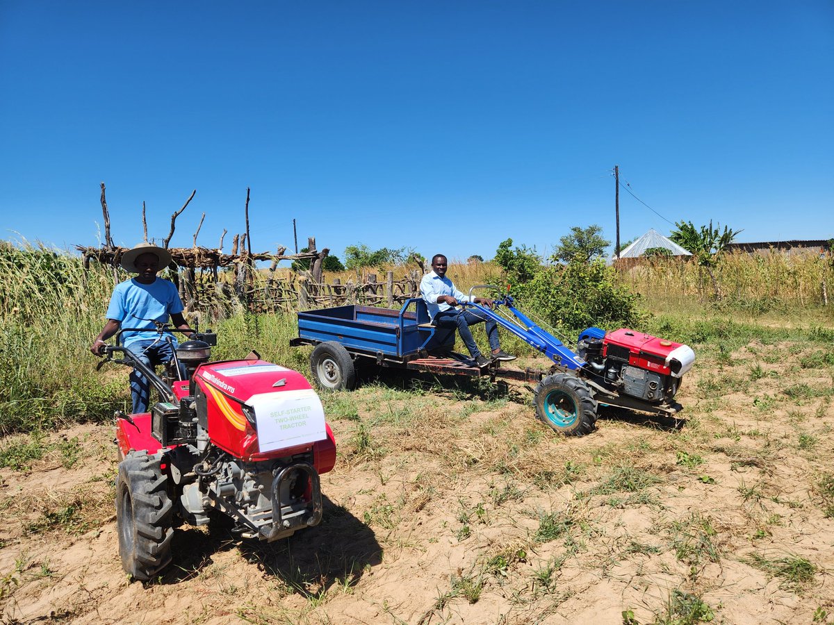 panasheila's tweet photo. 📢 All set and ready👍🏻for the #UkamaUstawi #ShareFair happening now in Masvingo,🇿🇼
✅️ A strong presence of 80 farmers 👩🏾‍🌾
✅️ Five countries👉🏻 🇰🇪  🇪🇹  🇲🇼  🇿🇲  🇿🇼
✅️ Collaborative strength of the @CGIAR @CIMMYT @IWMI_SouthernZA @ILRI 
Diversification for improved livelihoods. https://t.co/FEL0LgqTHx
