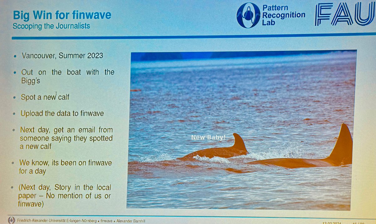 #finwave is a free & open source deep learning system to manage orca photos. Unfortunately, photos are also used by the press without mentioning the project. @UniFAU #PRS2024