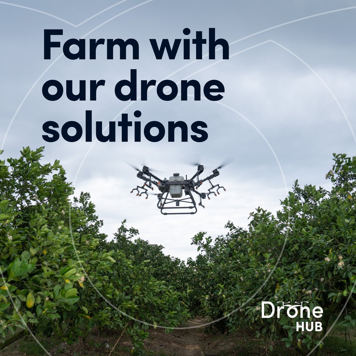 DronehubAfrica's tweet image. Let’s show you how to use drone technology to optimize your resources and increase farm yields. Connect with us today and farm with our drone solutions.

#dronesinagriculture #djidrones #dronefarming #dronehubafrica