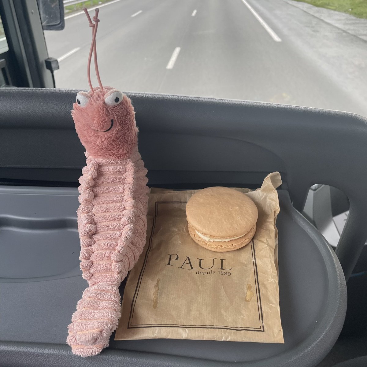It was an incredibly long day on the coach yesterday but Señor Gambas was excited to practise his French at the first opportunity to order the biggest macaron he’s ever seen 😍