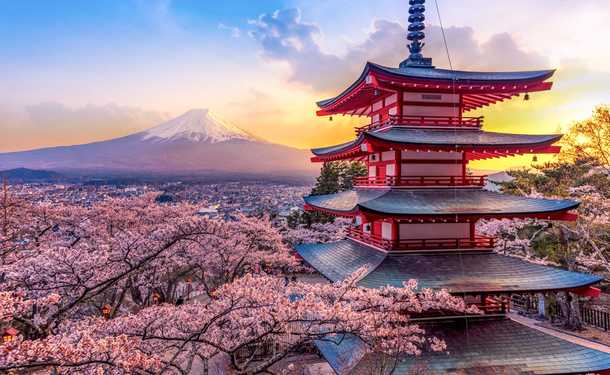 C’est la période des cerisiers en fleurs à #Tokyo ! 🌸 💡Le saviez-vous ? La fleur de cerisier, « Sakura » en japonais, est synonyme de renouveau et de porte-bonheur 🇯🇵 Le Mont Fuji au départ de #Montpellier via escale à Paris. Info: tinyurl.com/26cdkrr2 #voyage #tourisme