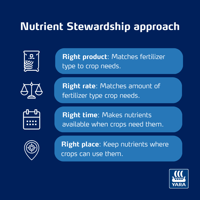 YaraEurope's tweet photo. Right source, right rate, right time, right place: these are the 4โฃ principles of sustainable nutrient management!
The 4R Nutrient Stewardship approach to #fertilizer management aims to make #EveryNutrientCount & improve crop productivity while minimizing environmental impact ๐ https://t.co/U7Ho6cYPnI