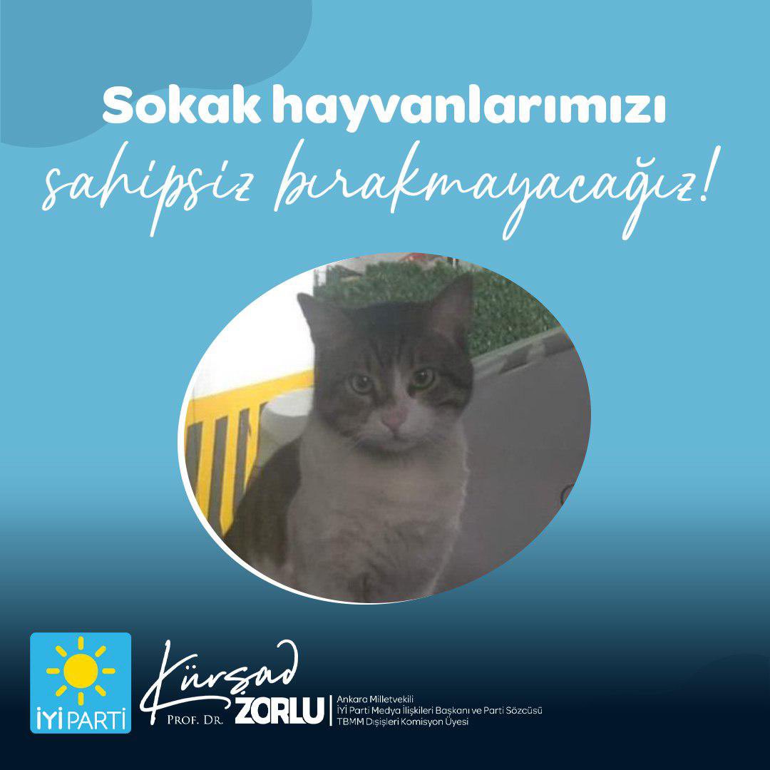 Sokağımızı paylaştığımız sessiz dostlarımızla ilgili sorunların farkındayız. Hiç merak etmeyin! Vatandaşlarımızın huzuru ve sokak hayvanlarına uygun koşulların sağlanması için hayvan barınma merkezleri başta olmak üzere tüm projelerimiz hazır... Avukatlarımız da şuan adliyede