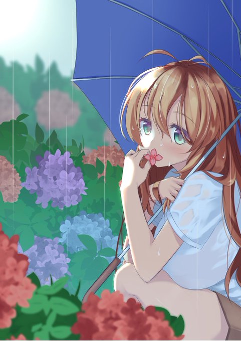 再掲
個人的に気に入ってる 