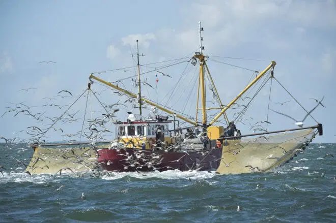 Het is te hopen dat organisaties als Natuurmonumenten, Waddenvereniging etc. niet de invloed krijgen om garnalenvisserij de nek om te draaien. Daarmee haal je een schakel uit de natuur die er al heel lang aanwezig is. 
natuurmonumenten.nl/natuurgebieden…