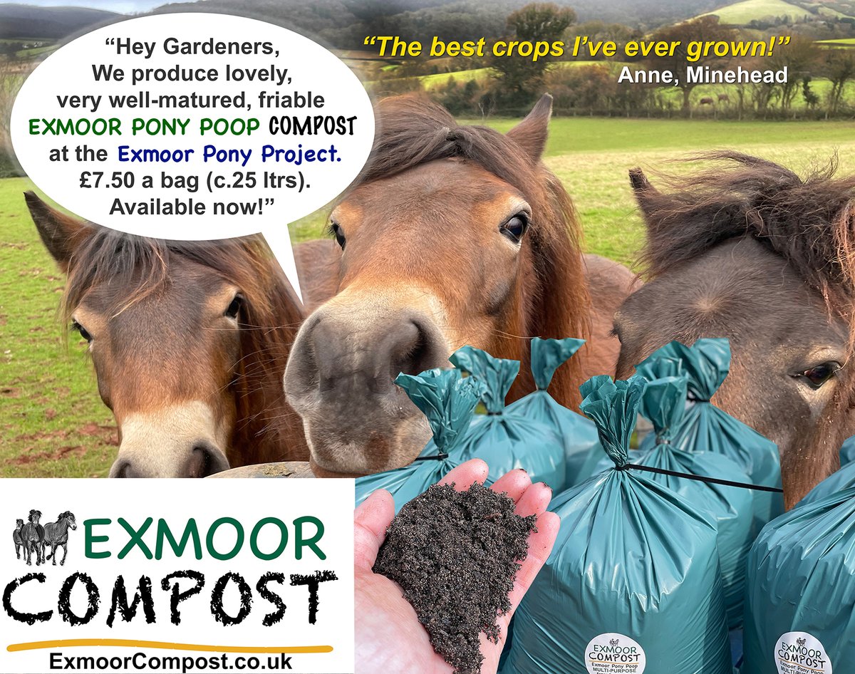 It's national #CompostWeekUK - raising awareness of the environmental benefits of #composting. Our Exmoor ponies produces fabulous, very well-matured multi-purpose #peatfree #compost and sales help to support the herd and our work for the breed 💚 #CompostWeekUK2024