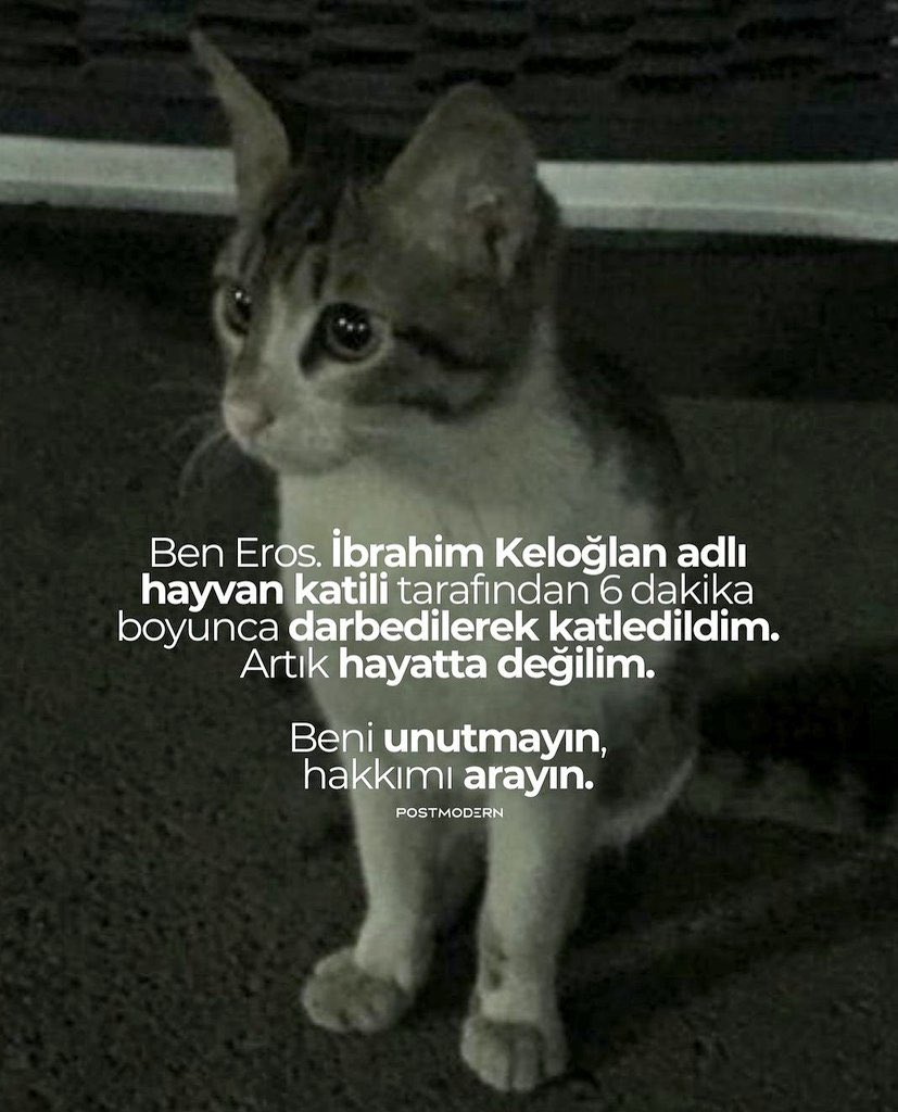 Önce en savunmasızı koruyacağız!
#ibrahimkeloglanTUTUKLANSIN 
 #Erosicinadalet