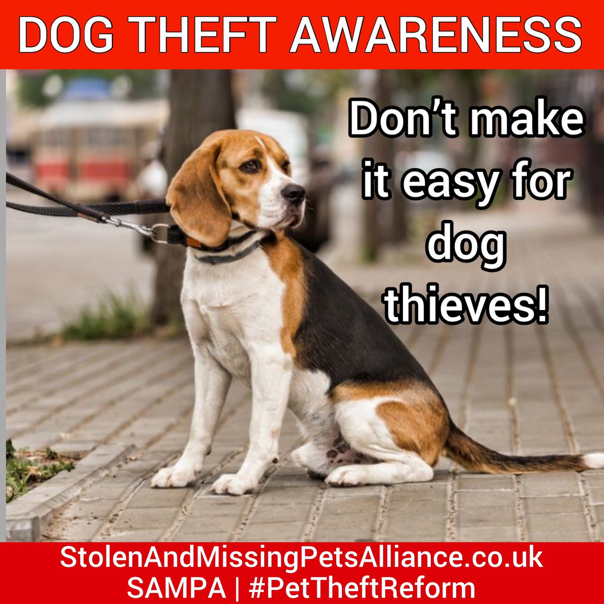 Today is #DogTheftAwarenessDay. Keep safe and be aware. Don’t make it easy for dog thieves #PetAbduction is up by 6% on last year according to new Police figures 💔 #PetTheftReform stolenandmissingpetsalliance.co.uk/dog-theft-awar…