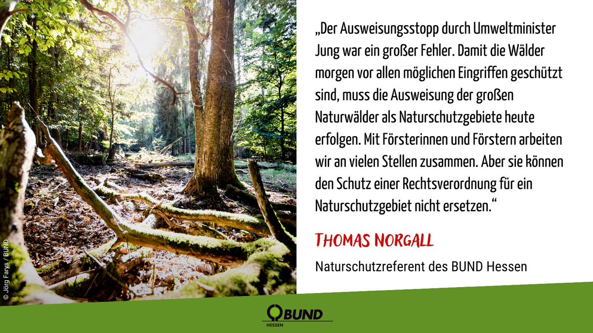 Heute wollen CDU+SPD den vorläufigen Ausweisungsstopp von großen Naturwäldern in Hessen unterstützen. Wir fordern die Ausweisung fortzusetzen, denn Naturwälder tragen zum Erhalt der Artenvielfalt & zum Schutz des Klimas bei!!! 🌳🌳🌳 bund-hessen.de/pm/news/bund-k… @Landtag_Hessen